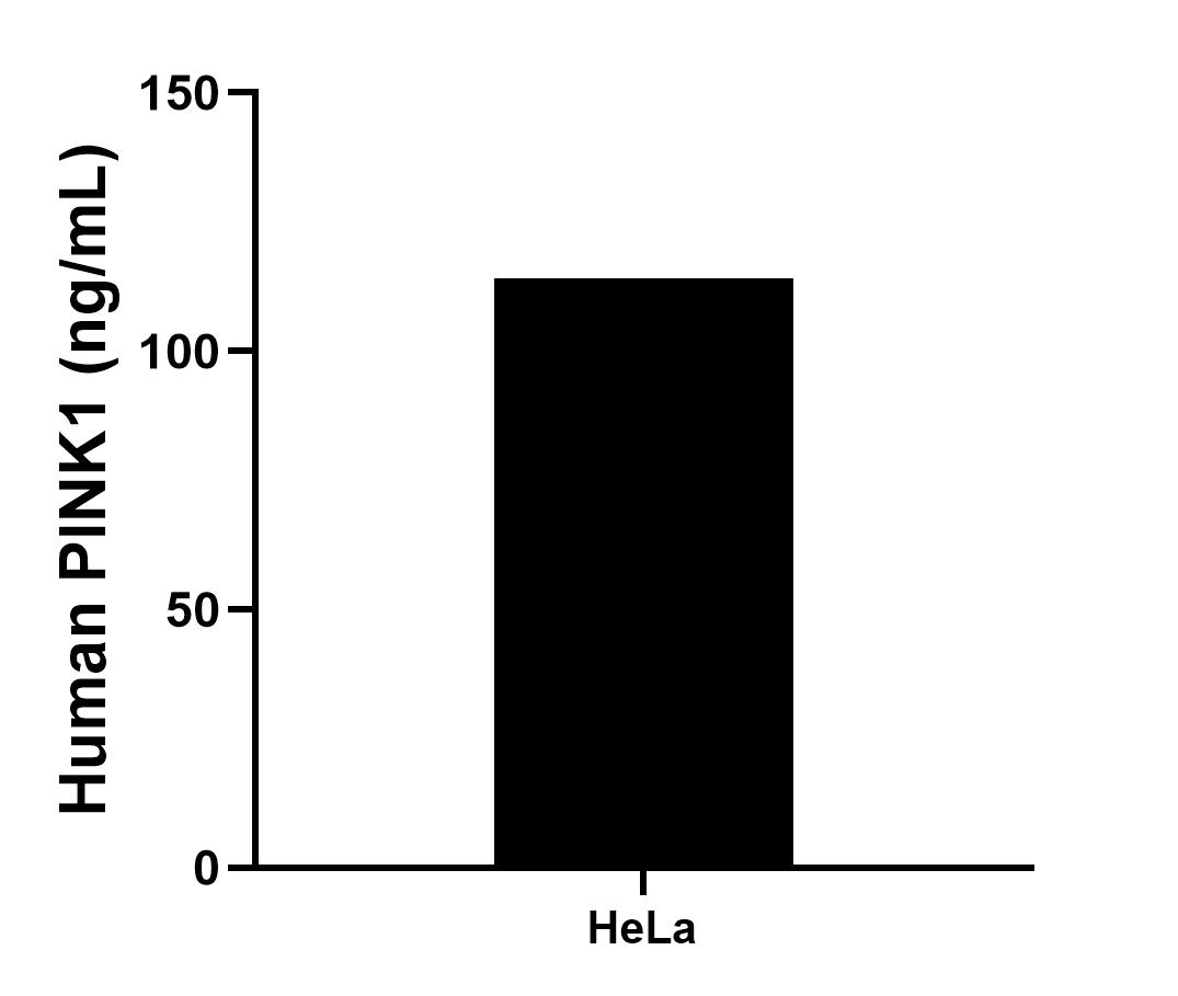 Sample test of MP00404-1